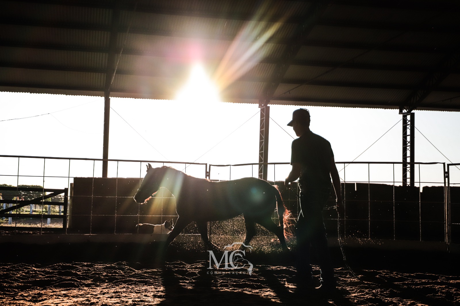 imagem de conexão com cavalos do projeto Nexus