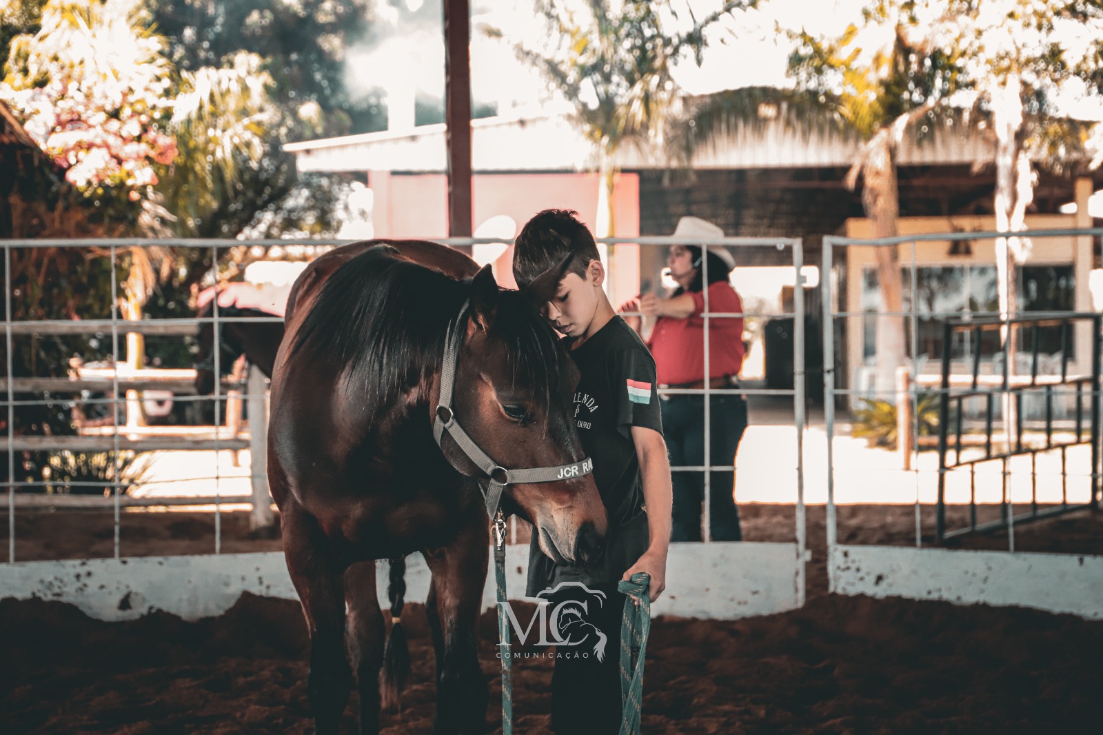 imagem de conexão com cavalos do projeto Nexus