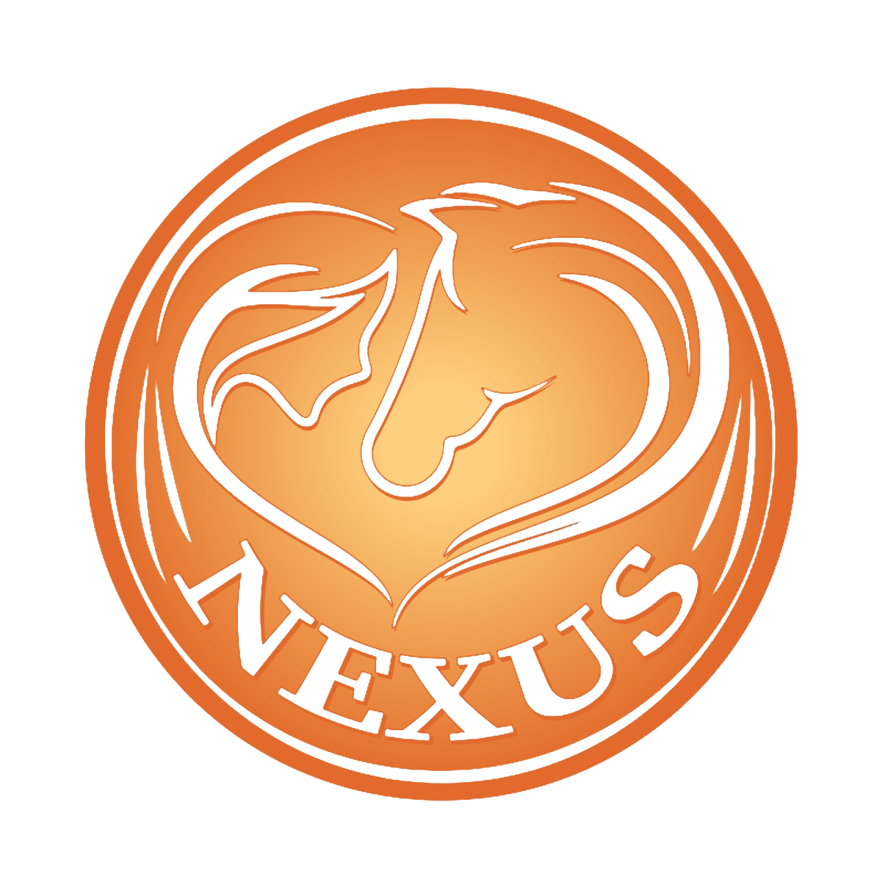 Logo da conexao nexus